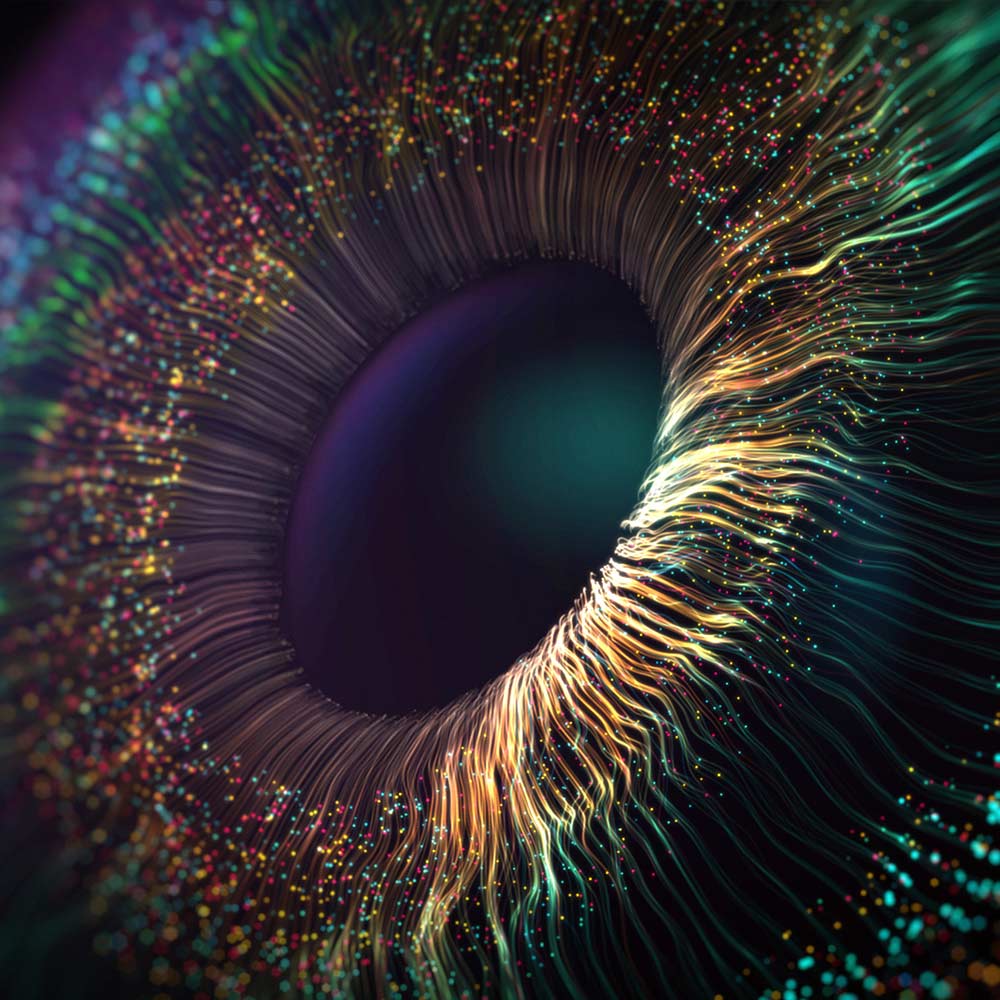 GEG_FactorIQ_Data_Image